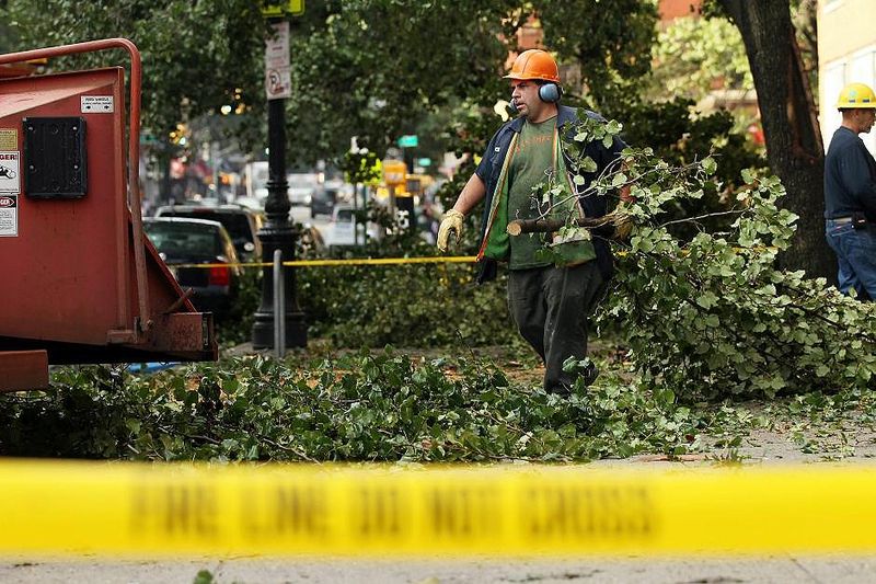 Более тысячи деревьев повалены в районе Центрального парка. 