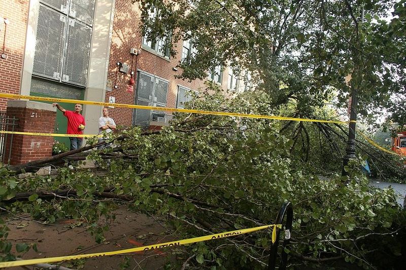 Глава парковой администрации города Адриан Бенепе заявил, что многие поврежденные бурей деревья придется выкопать. 